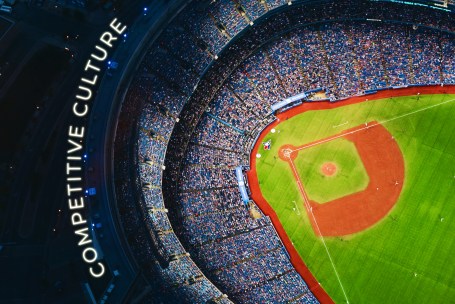 Competitive Culture Baseball Field